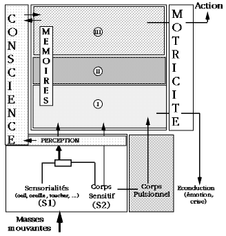 Thurin fig 5