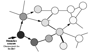 Thurin fig. 8