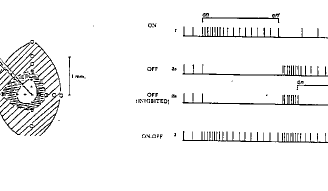 Vibert fig 4