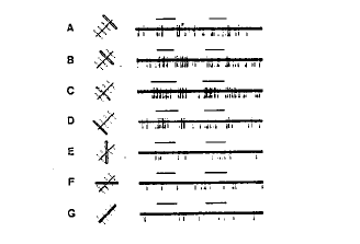 Vibert fig. 9